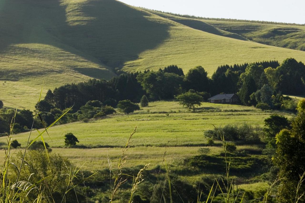 Lions River Country Cottages Dış mekan fotoğraf